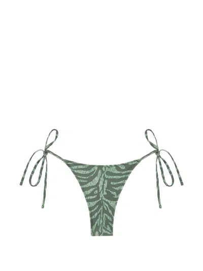 Tropic Of C Zebra-pattern Bikini Bottom In Gray