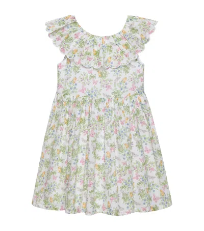Trotters Kids' Cotton Butterfly And Bird Print Dress In Multi