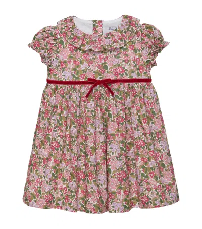 TROTTERS COTTON LIBERTY PRINT HEDGEROW WILLOW DRESS