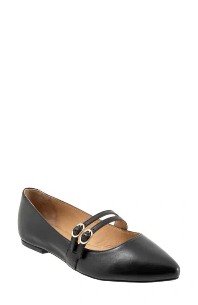 Trotters Emerald Pointed Toe Mary Jane Flat In Black