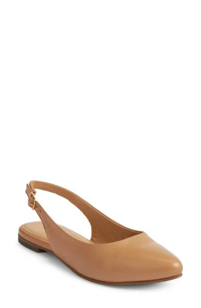 Trotters Evelyn Pointed Toe Slingback Flat In Medium Beige