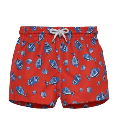 Trotters Kids'  Fish Print Swim Shorts In Red