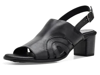 Trotters Mariam Sandals In Black