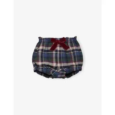 Trotters Kids' Multi Tartan Corinne Tartan Cotton Bloomers 3-24 In Brown