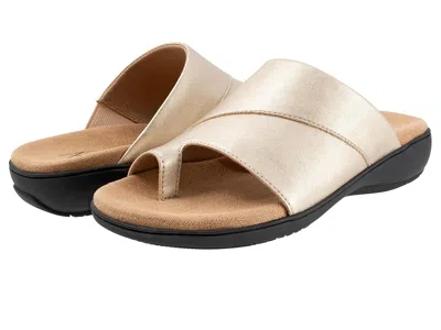 Trotters Regina In Multi