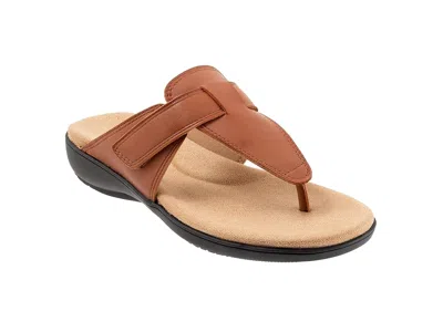 Trotters Robin In Brown