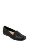 Trotters Sage Flat