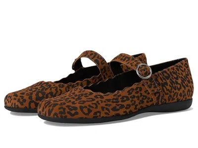 Trotters Sugar In Brown