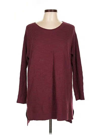 Pre-owned Trouve Pullover Sweater In Burgundy