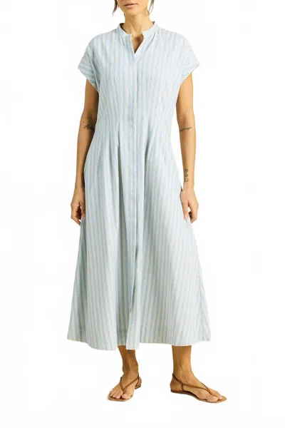 Trovata James Dress In Blue Oxford Stripe