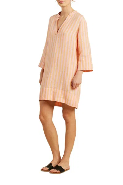 Trovata Lucca Shift Dress In Creamsicle In Neutral