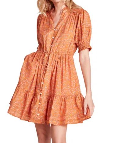 Trovata Phoebe Mini Dress In Tumeric In Pink