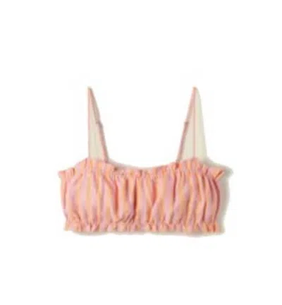 Trovata Women's Brigette Bandeau Top In Creamsicle Stripe In Pink