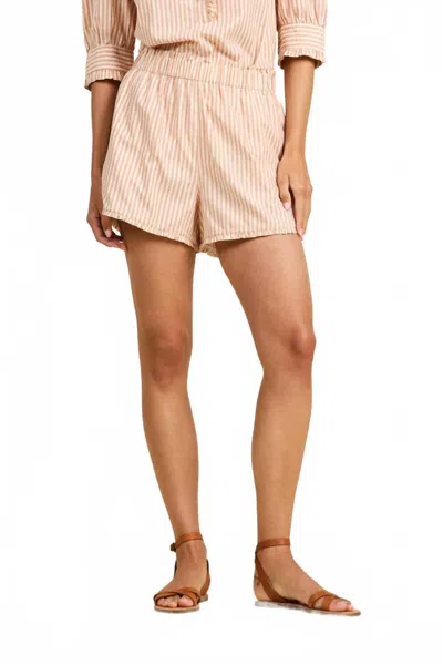 Trovata Women's Lucille Short Stripe In Maple In Brown