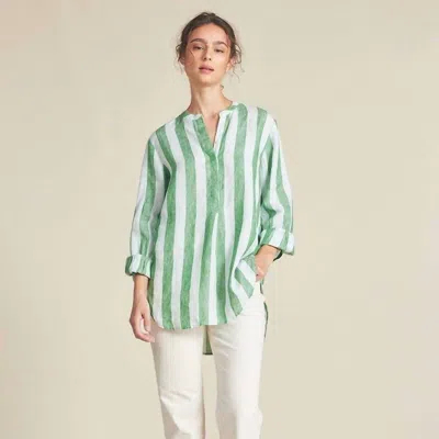 Trovata Women's Tori Tunic Top In Aloe Stripe In Green