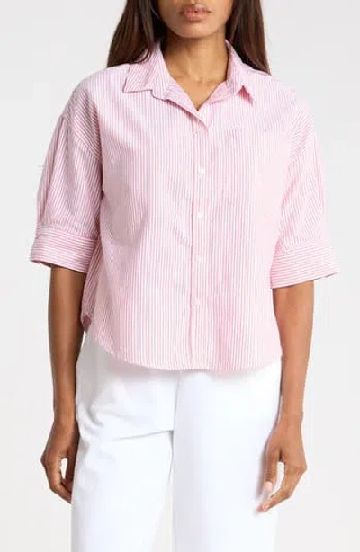 Trove New York The Collegitate Short Sleeve Button-up Shirt In Ruby Ring