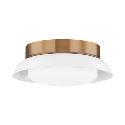 Troy Arnie 28.5in 2 Light Flush Mount In White