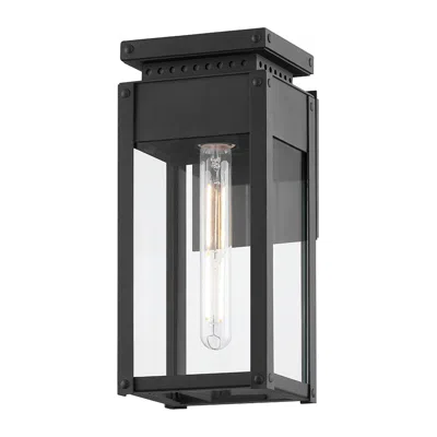 Troy Braydan 12" Aluminum 1 Lt Ext. Wall Sconce