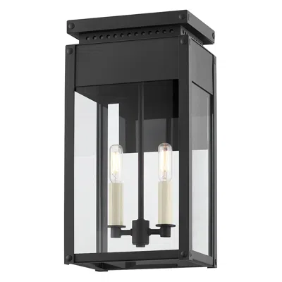 Troy Braydan 18" Aluminum 2 Lt Ext. Wall Sconce