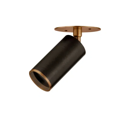 Troy Caleb 4 3/4" Wide Patina Brass And Bronze Ceiling Light In Gold
