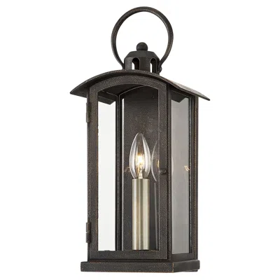 Troy Chaplin 15 1/2" High Vintage Bronze Outdoor Wall Light