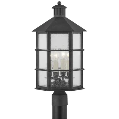 Troy Lake County 21 1/4" High French Iron Outdoor Post Light