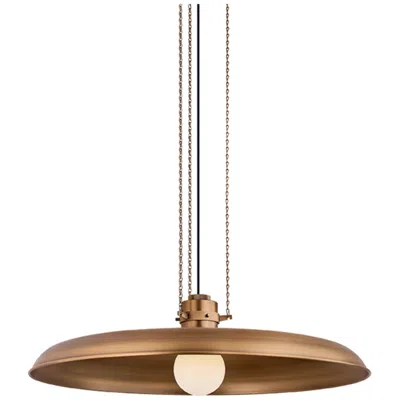 Troy Lighting Rainhill Pendant