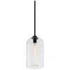 Troy Lighting Soft Black District Pendant In Black