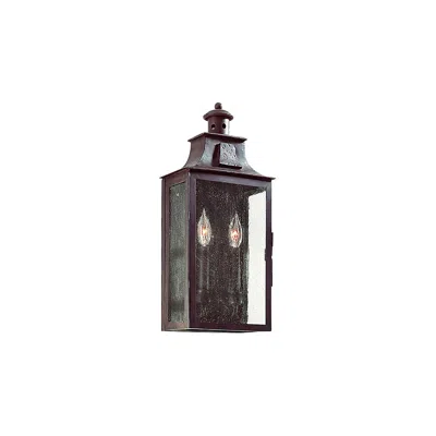 Troy Newton Collection 19 1/2" High Outdoor Wall Light