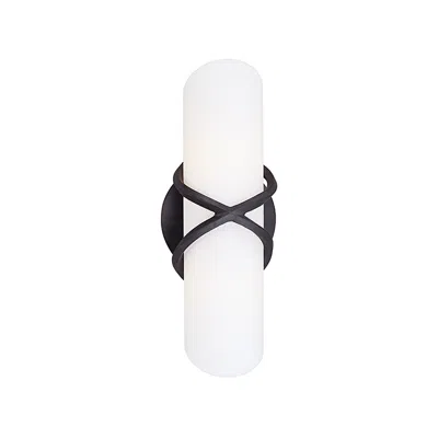 Troy Roxberg Graphite 11 1/2" High Bath Sconce