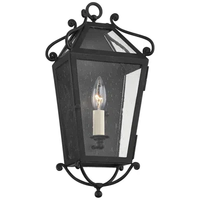 Troy Santa Barbara County 16 1/2"h French Iron Outdoor Wall Light