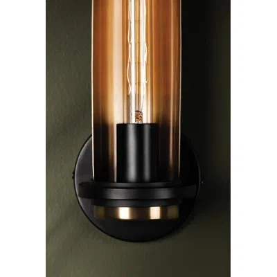 Troy Steel Armed Sconce In Brown