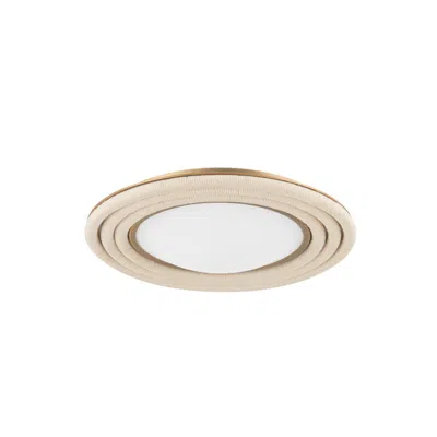 Troy Zion 20" Steel Led Flush Mount In Neutral