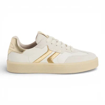 Truclothing Golden Stripes Trainers Sneaker Shoes In Multi