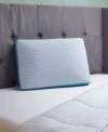 Trucool Serene Foam Side Sleeper Pillow Collection In Multi