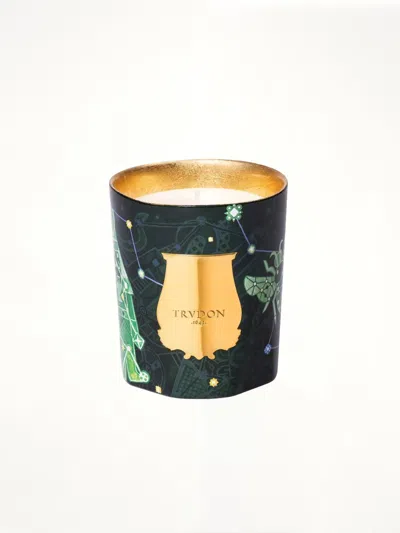 Trudon 2025 Holiday Fir Candle 270g In Green