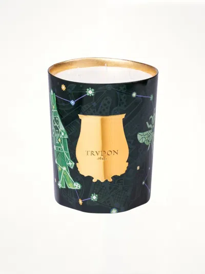 Trudon 2025 Holiday Fir Candle 3kg In Metallic