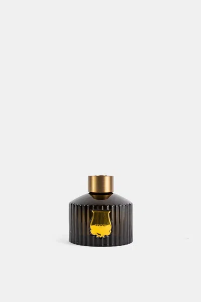 Trudon Abd El Kader Diffuser In Black