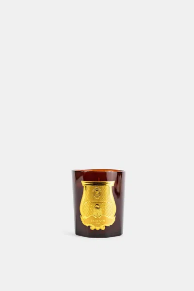 Trudon Absolu Candle In Brown