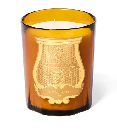 Trudon Altaïr Candle In Orange