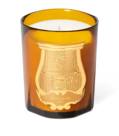Trudon Altaïr Candle In Brown