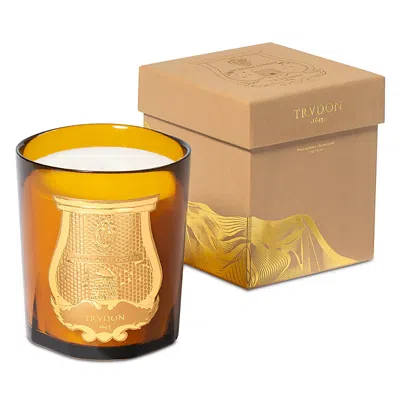 Trudon Altair Classic Candle, 9.5 Oz. In Orange