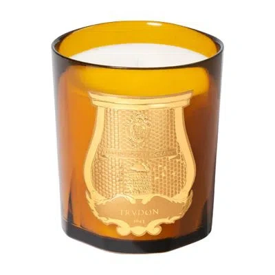 Trudon Altair Scented Candle 270 G In Brown