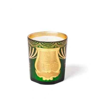 Trudon Angelo Scented Candle 270 G In Green