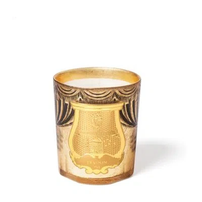 Trudon Arosa Scented Candle 270 G In Gold
