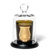 Trudon Bell Jar With Base In Green