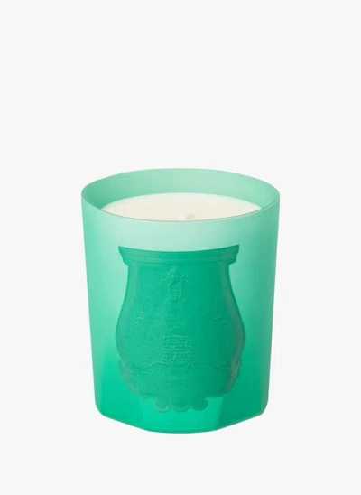 Trudon Bougie Parfumée - Under The Trees In Green