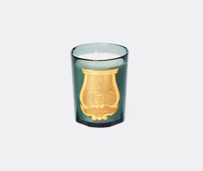 Trudon Figuerie Classic Scented Candle In Green