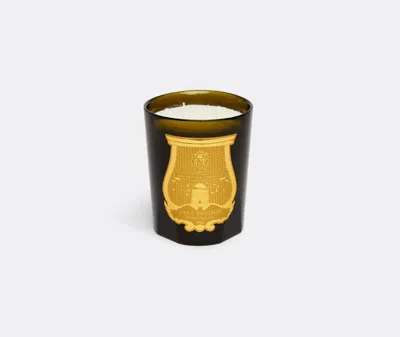 Trudon Candlelight And Scents Green 1