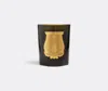 Trudon Candlelight And Scents Green 1 In Green
